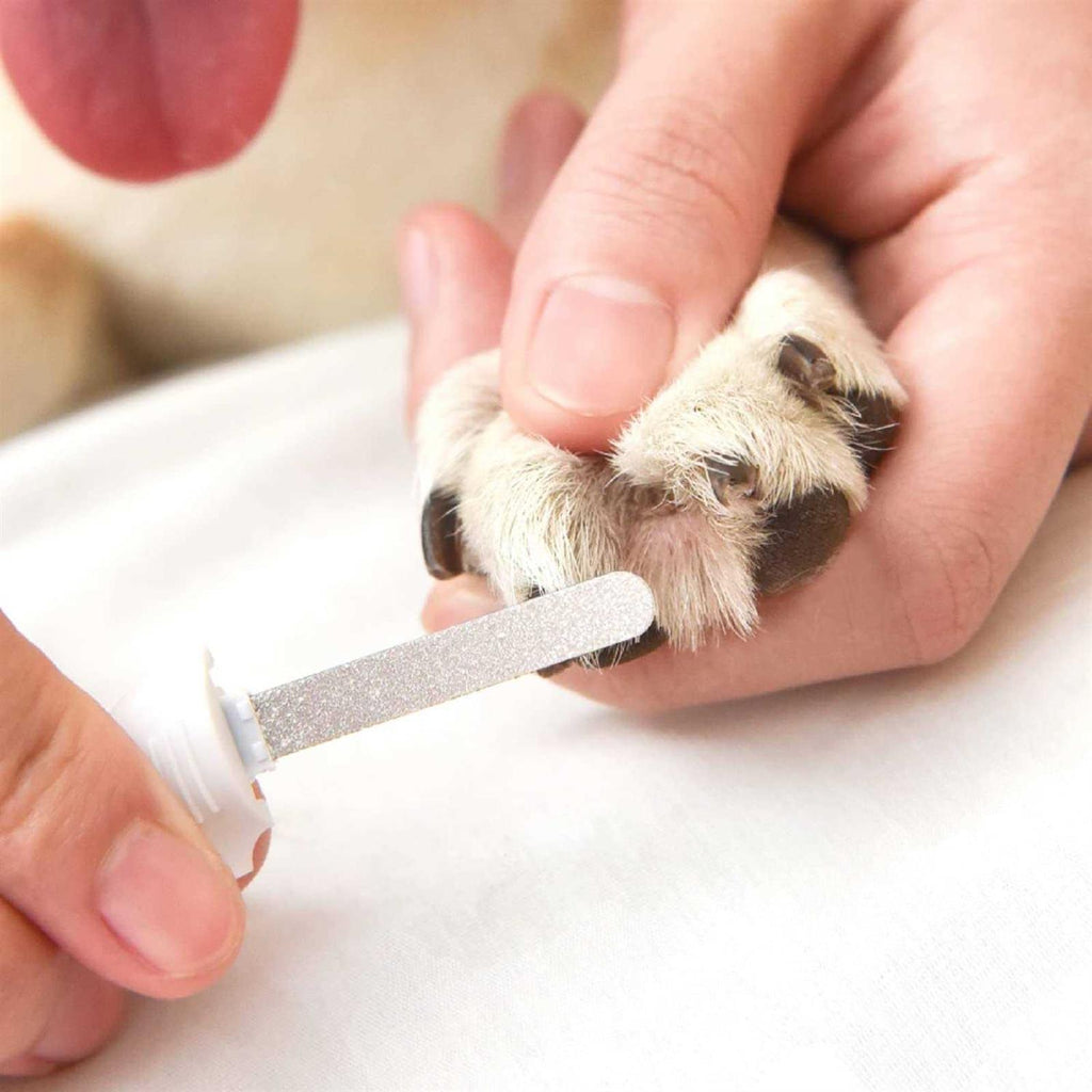 Pet Nail Clipper with LED Light P210
