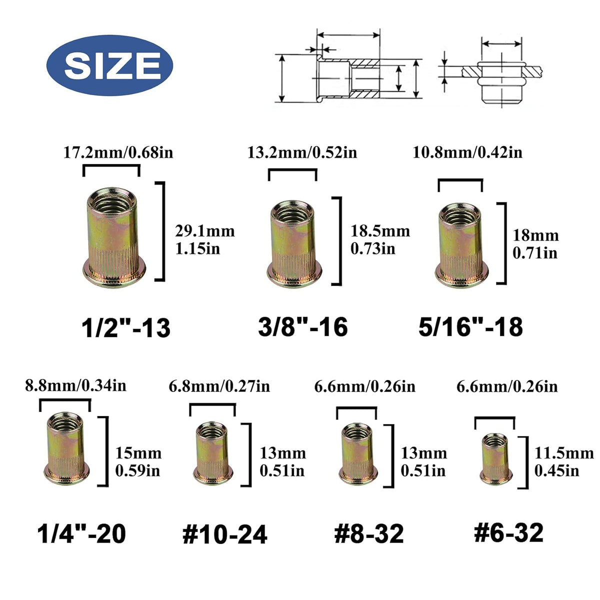 860pcs SAE UNC Zinc Plated Carbon Steel Rivet Nut Kit with Case A2835