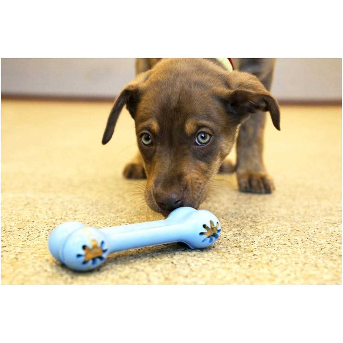 Puppy Toy M257