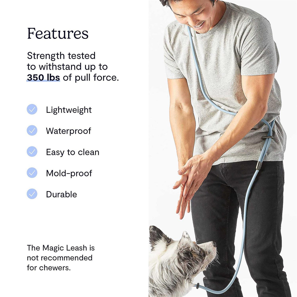 Hands-Free Dog Leash Z44181