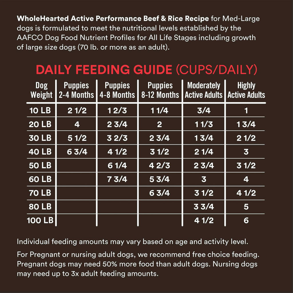 High-Protein Beef & Rice Recipe Dry Dog Food R431