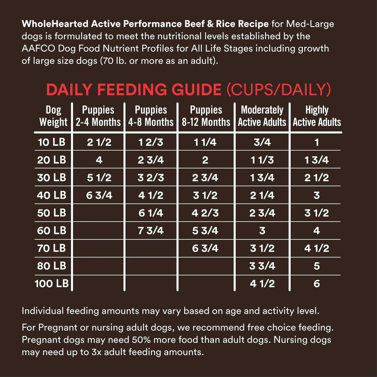 High-Protein Beef & Rice Recipe Dry Dog Food R431