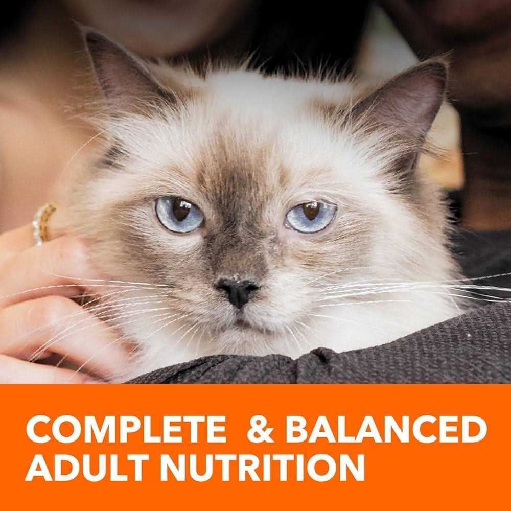 Sensitive Digestion & Skin Dry Cat Food E5428