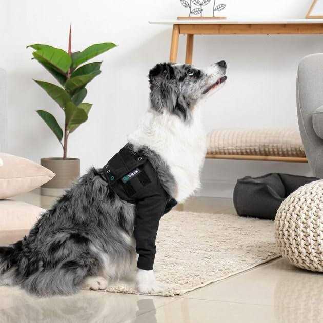 Dog Recovery Sleeves V883346