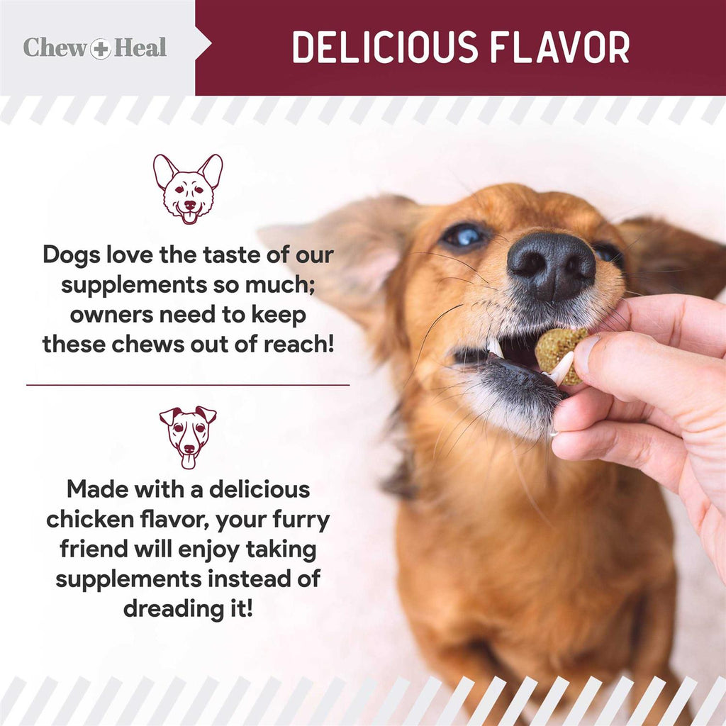 Flea and Tick Prevention for Dogs T976244