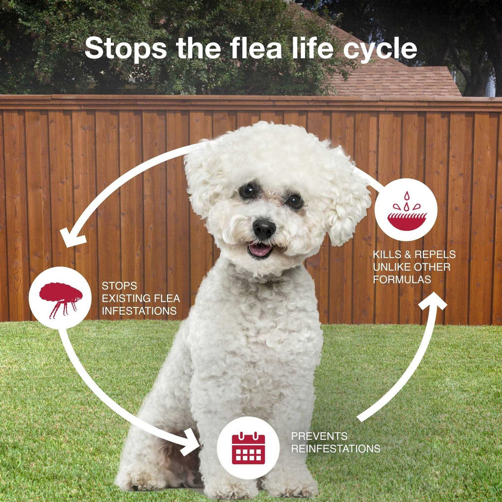 Flea Tick & Mosquito Prevention for Small Dogs 4-10 lbs U5664