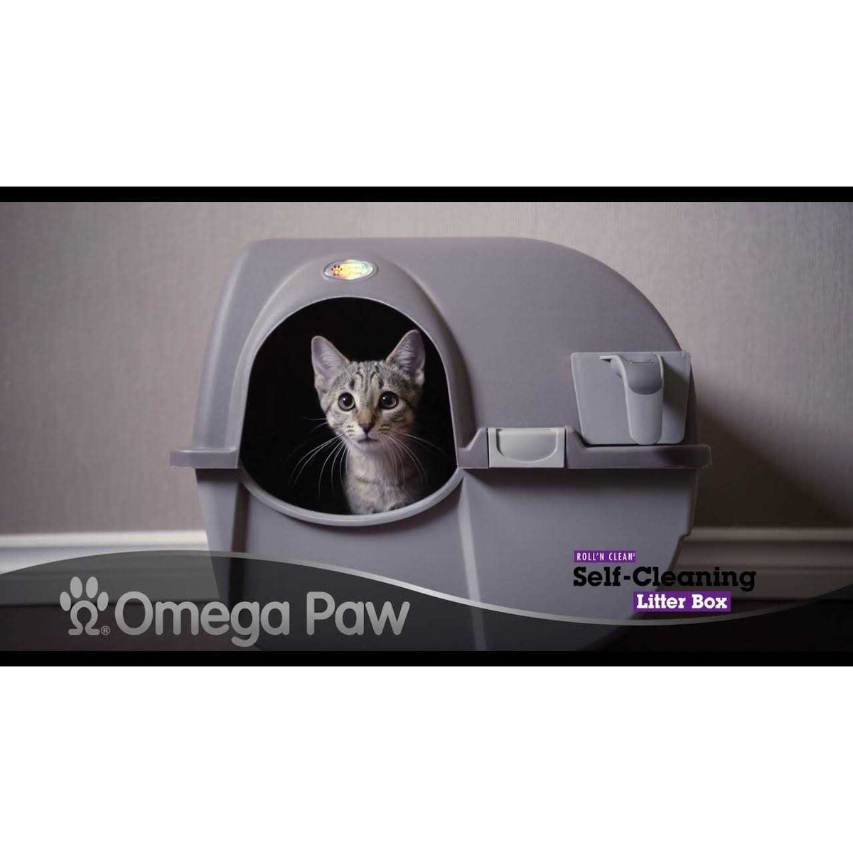 Self Cleaning Litter Box L6856
