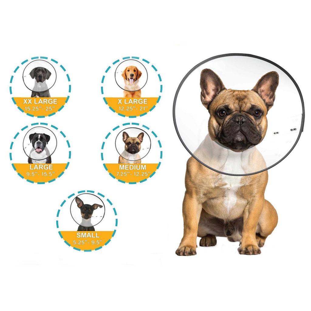 Clear Recovery Collar R167