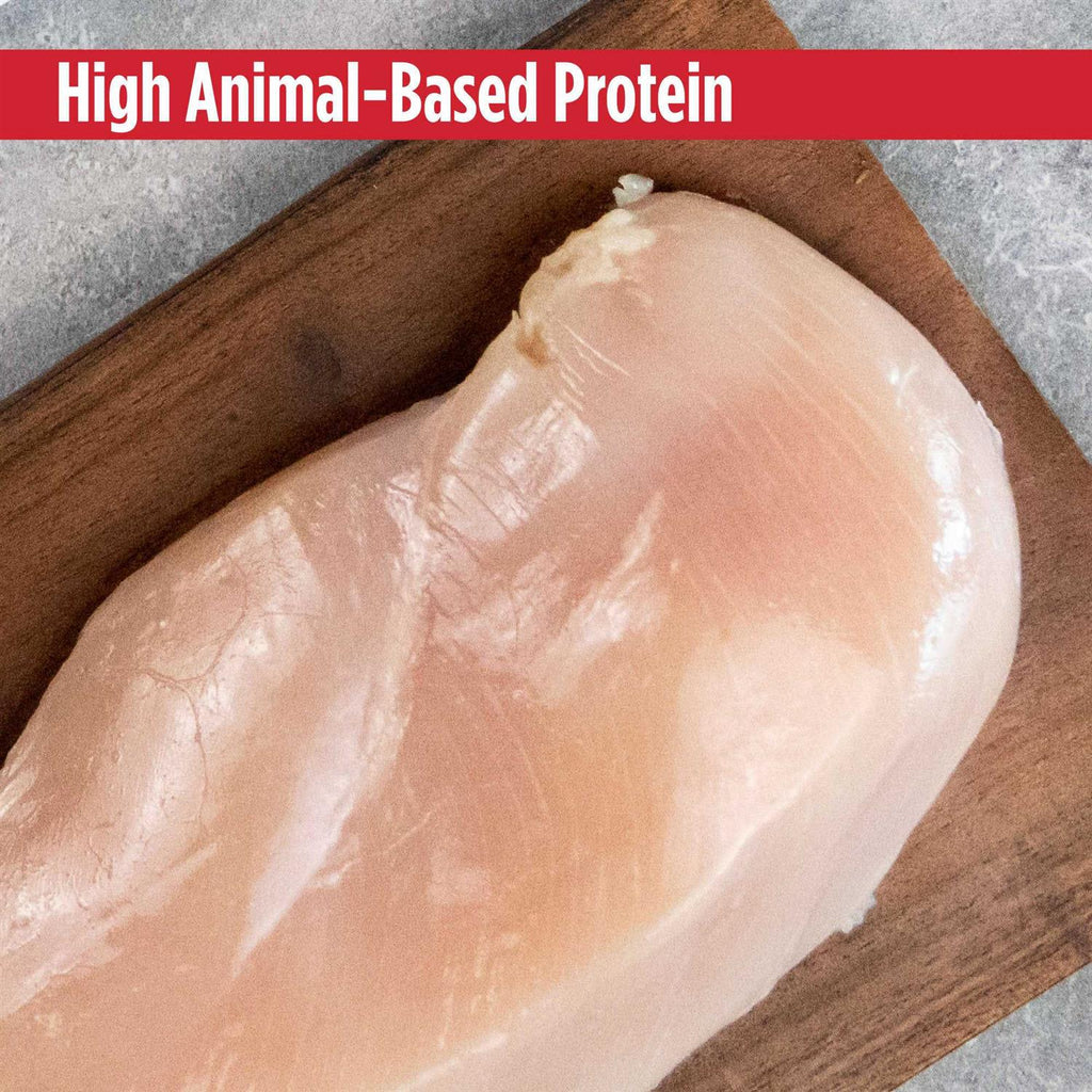 Grain Free Limited Ingredient Turkey Dog Food V6099