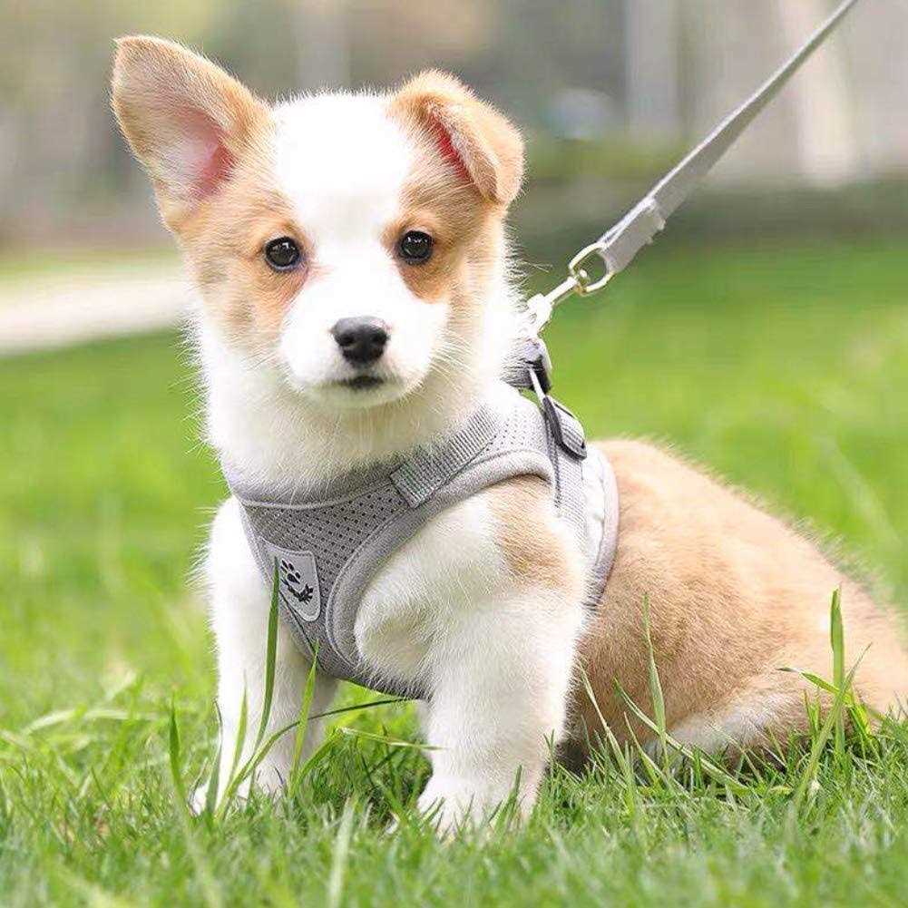 Dog Harness and Leash Set Reflective Adjustable G295026