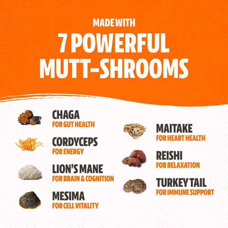 Organic Mushroom Complex for Dogs L6973
