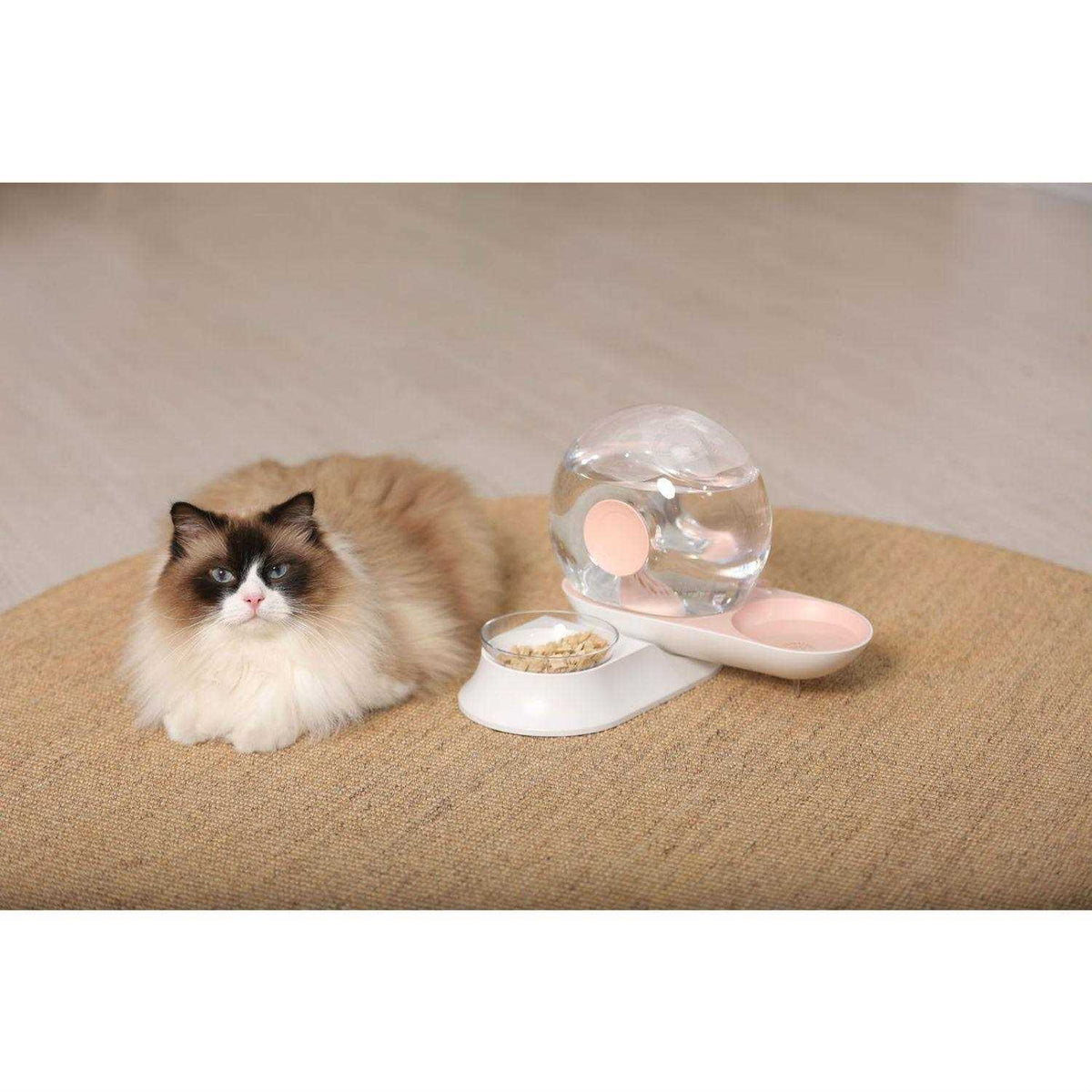 Snail Shaped 2-in-1 Gravity Pet Water Dispenser and Food Bowl Q758