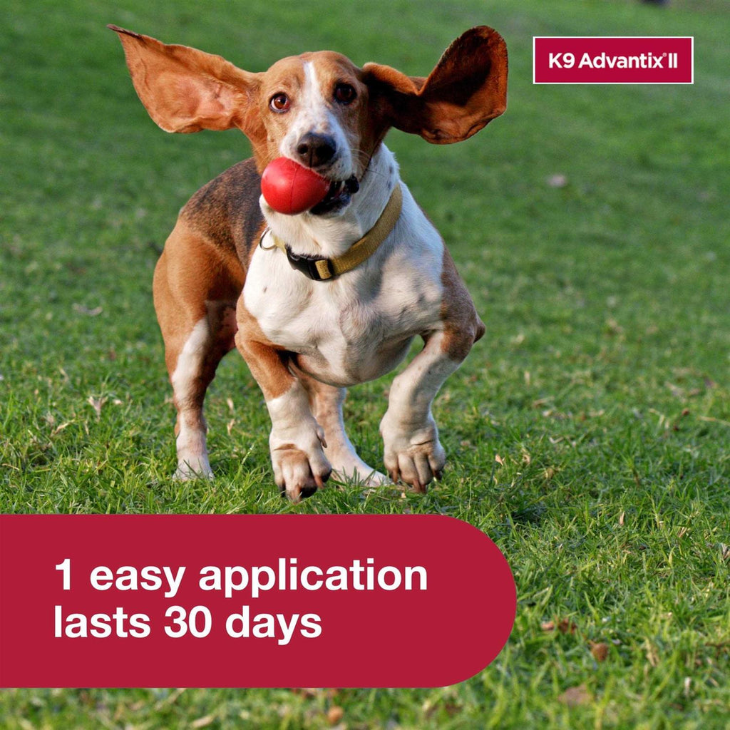 Flea Tick & Mosquito Prevention for Small Dogs 4-10 lbs U5664