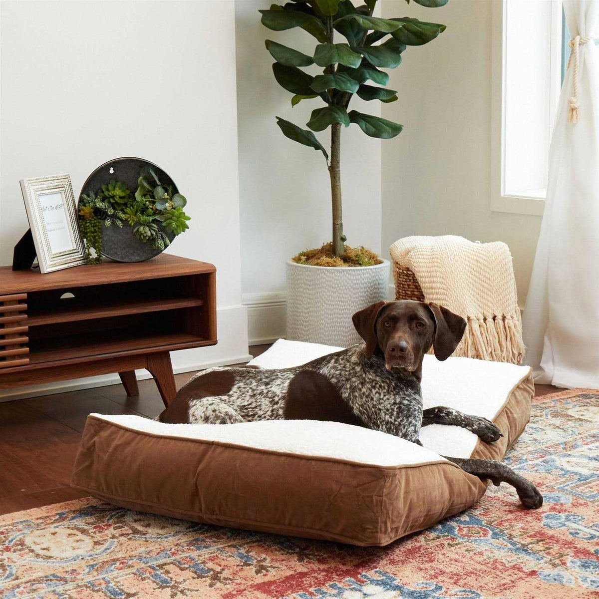 Rectangle Dog Bed with Removable Cover S31115