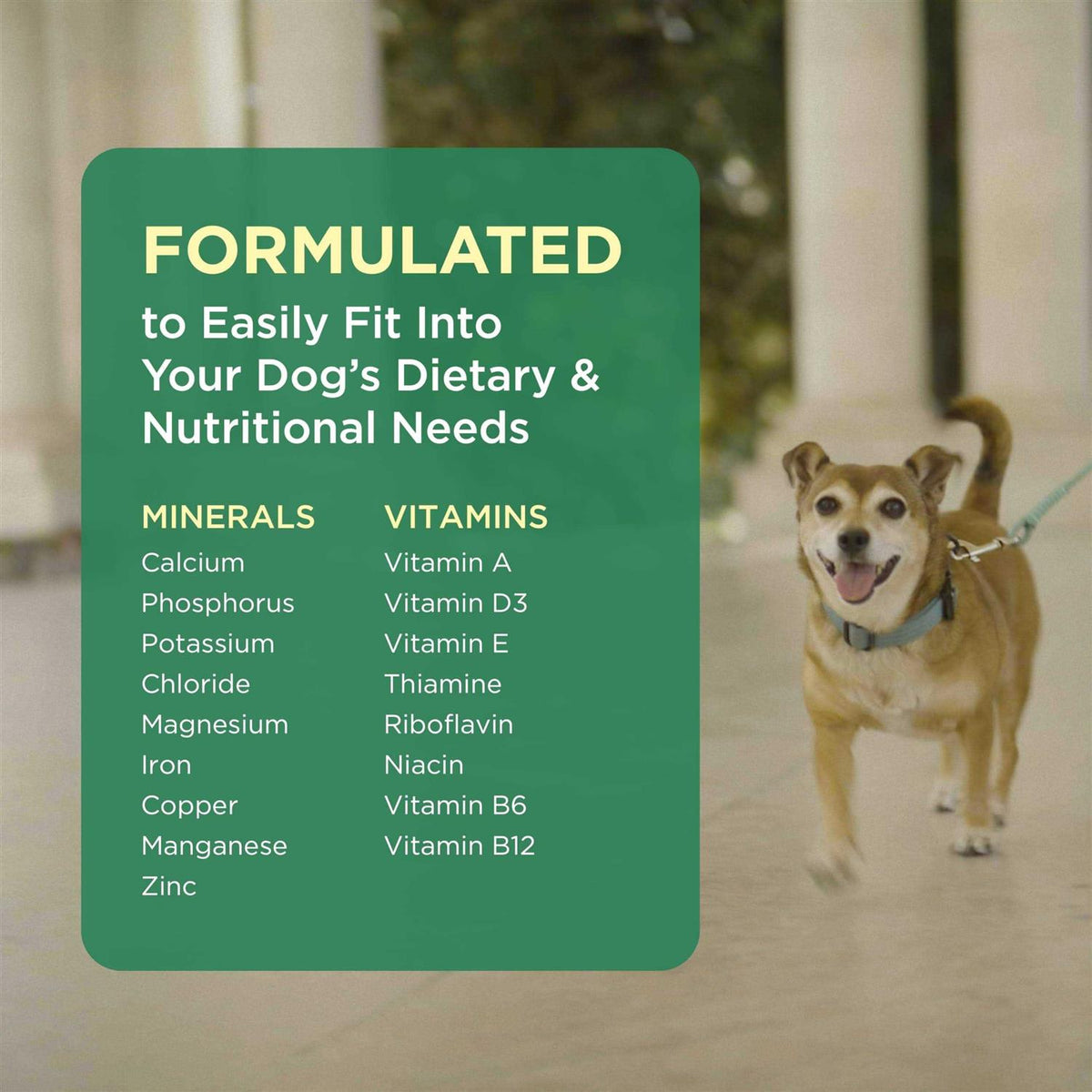 Pet Tabs for Dogs P853449