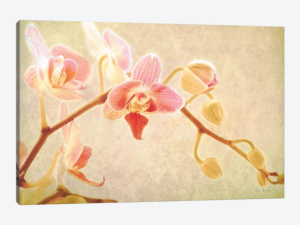 Perfume Canvas Art Wall Decor I928