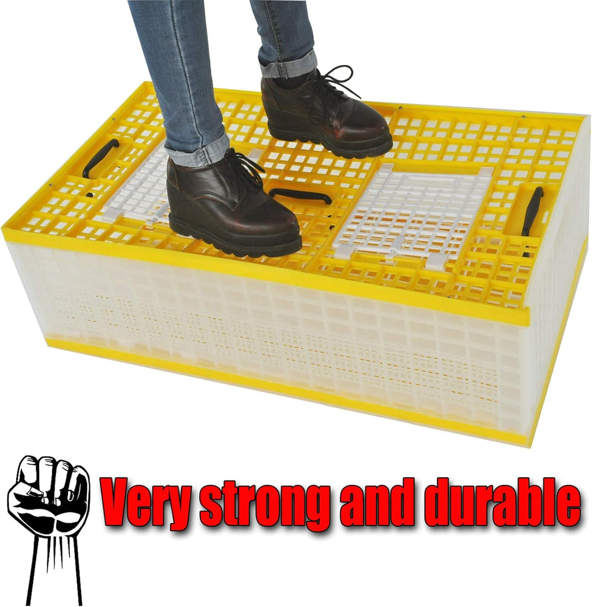 Plastic Pigeon Cage Portable Foldable 24x12x9in Green J373764