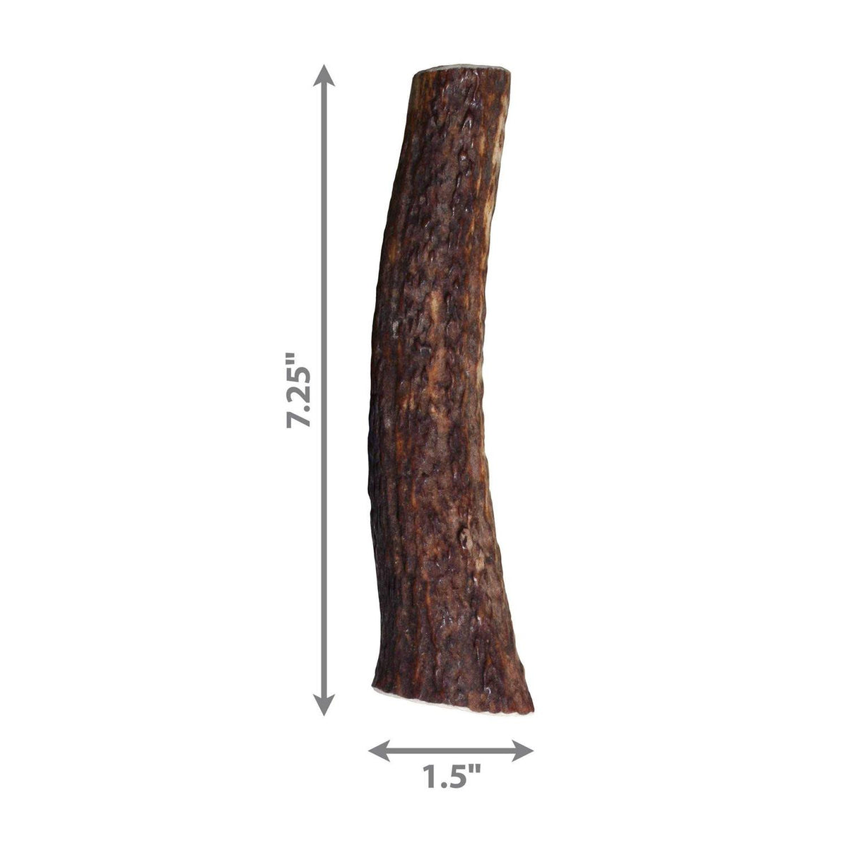 Whole Wild Elk Antler I455