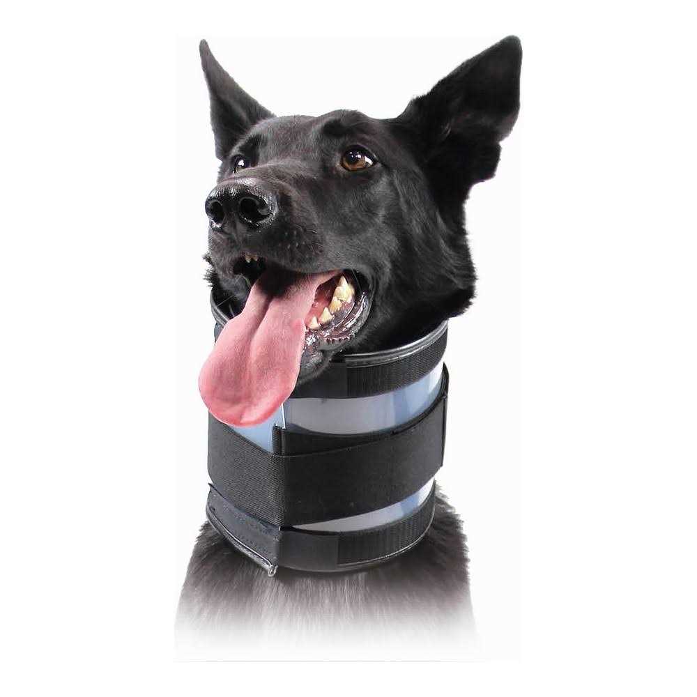 Cervical Collar A284