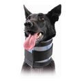 Cervical Collar A284