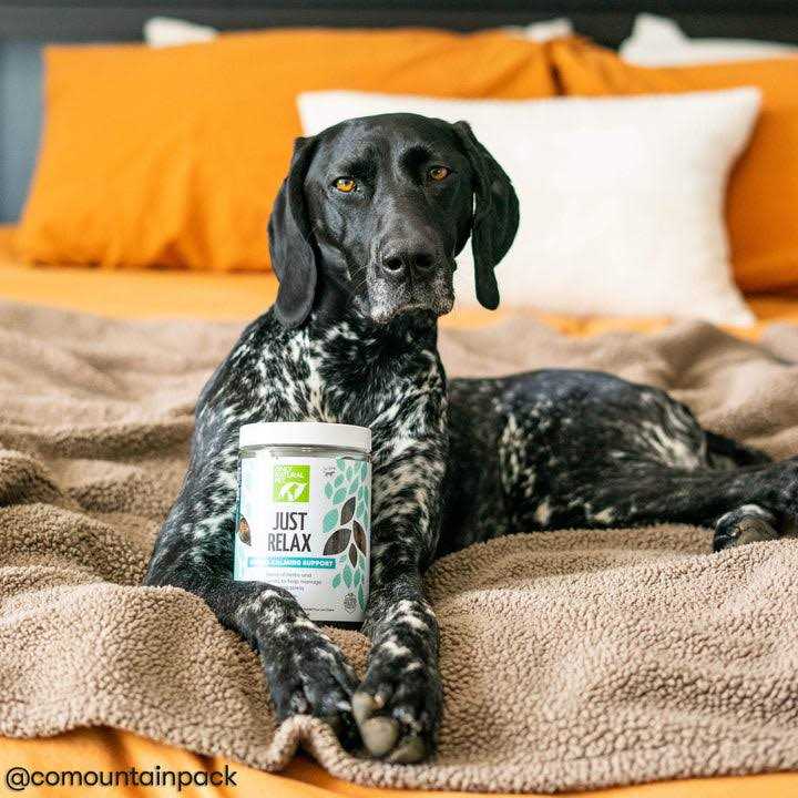 Herbal Calming Soft Chews K40505