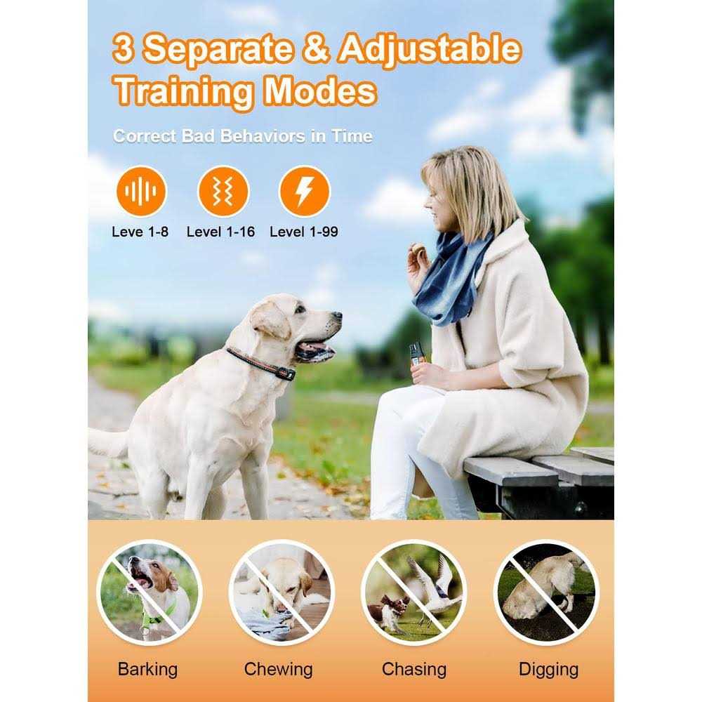 Dog Shock Collar 2 Dogs 3300 ft Waterproof Rechargeable Remote N418942