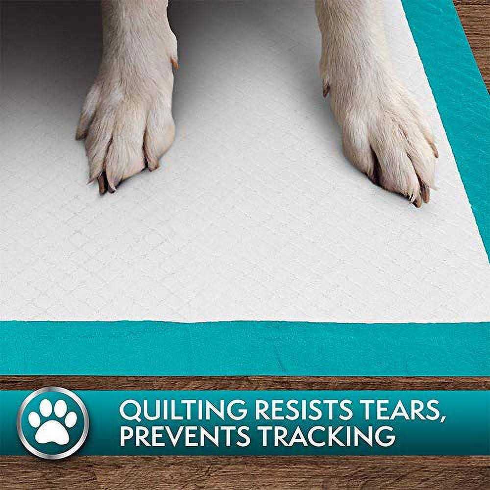 Extra Large Training Pads A2565