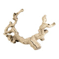 Grapewood Branch I67603