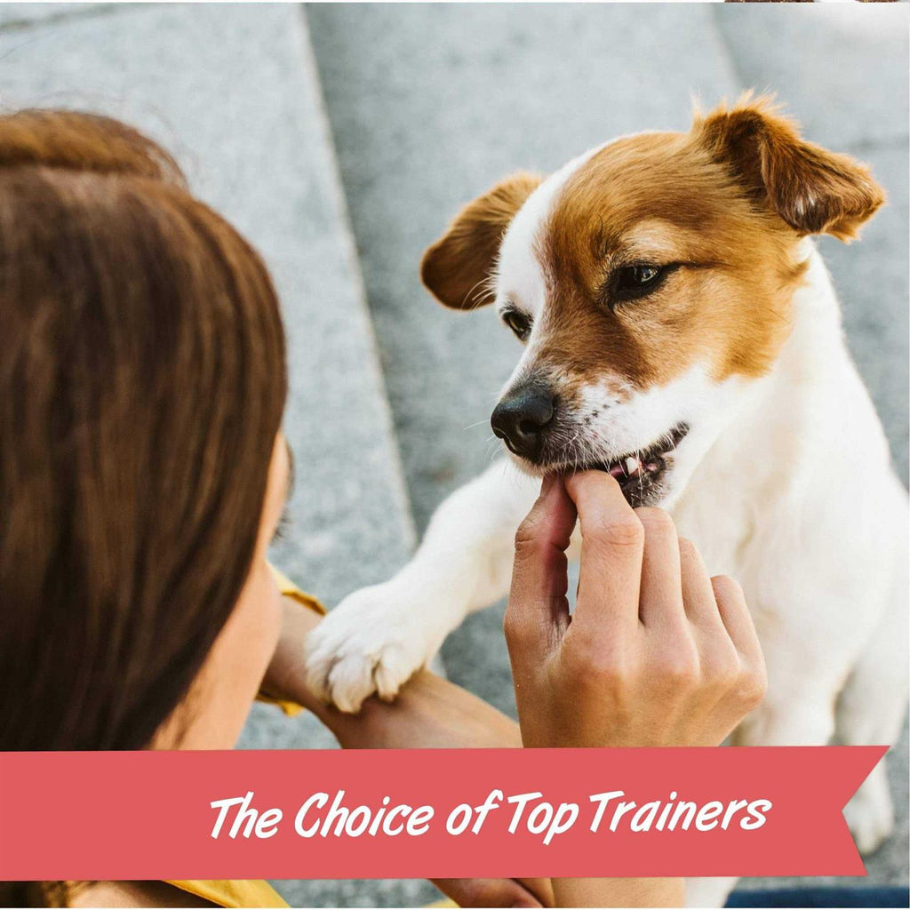 Training Rewards Dog Treats O1842