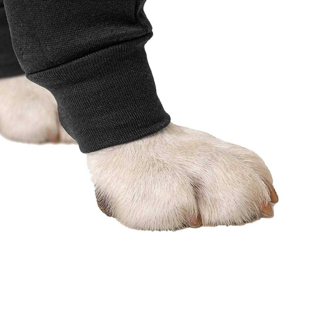 Dog Recovery Sleeves V883346