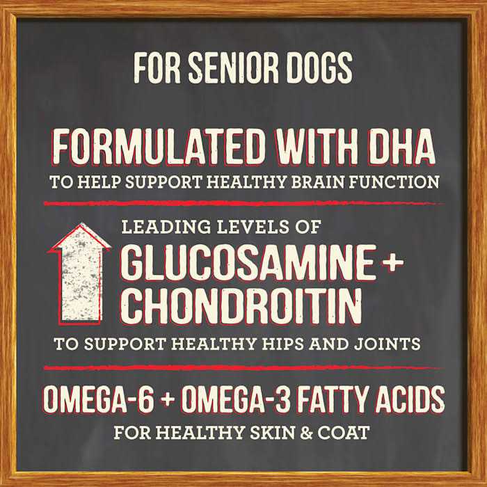 Senior Dry Dog Food E13727