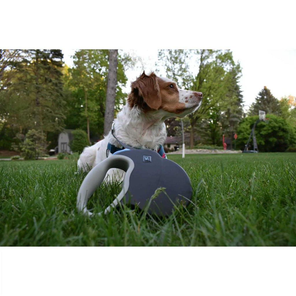 Reflective Retractable Tape Leash Q635259