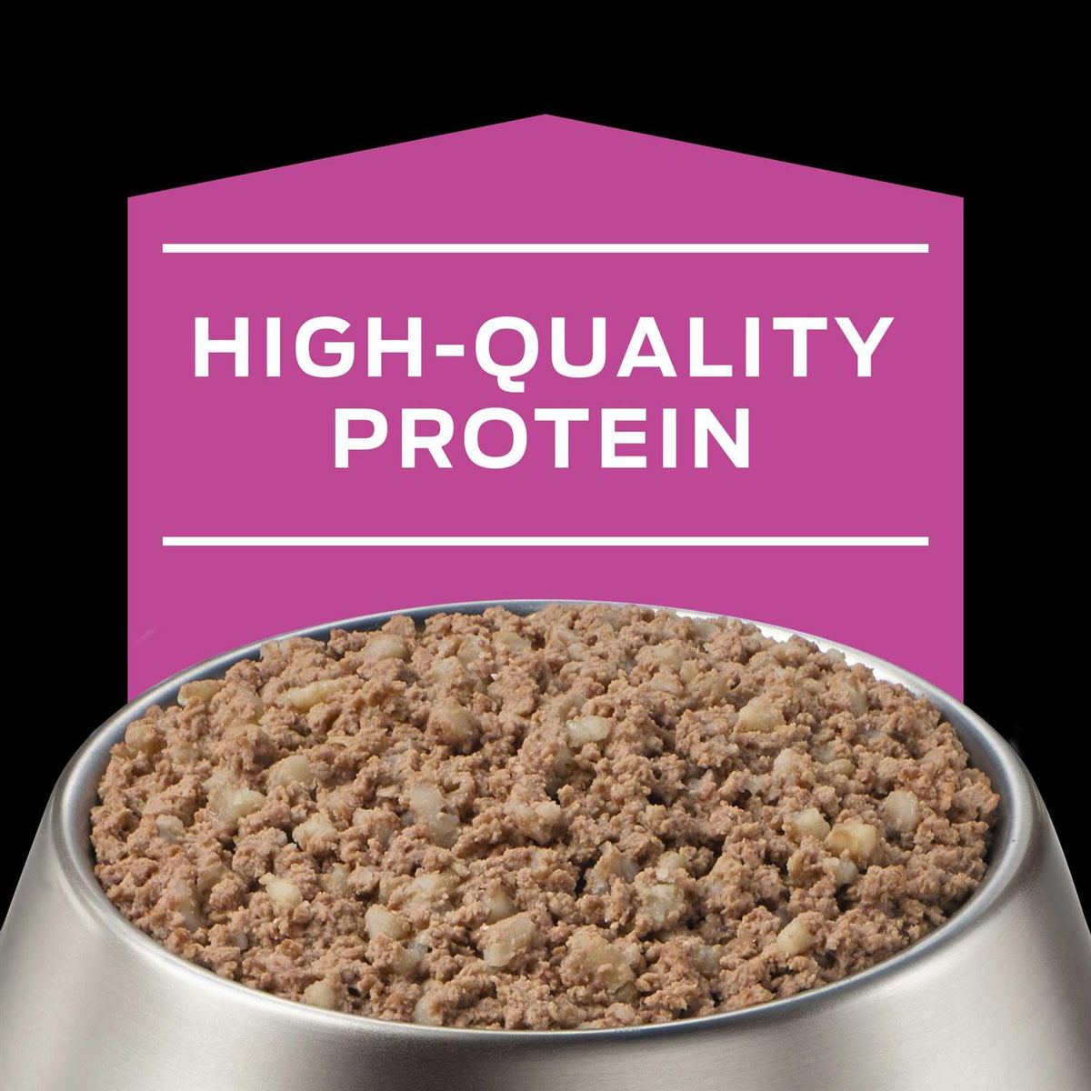 Wet Dog Food L947