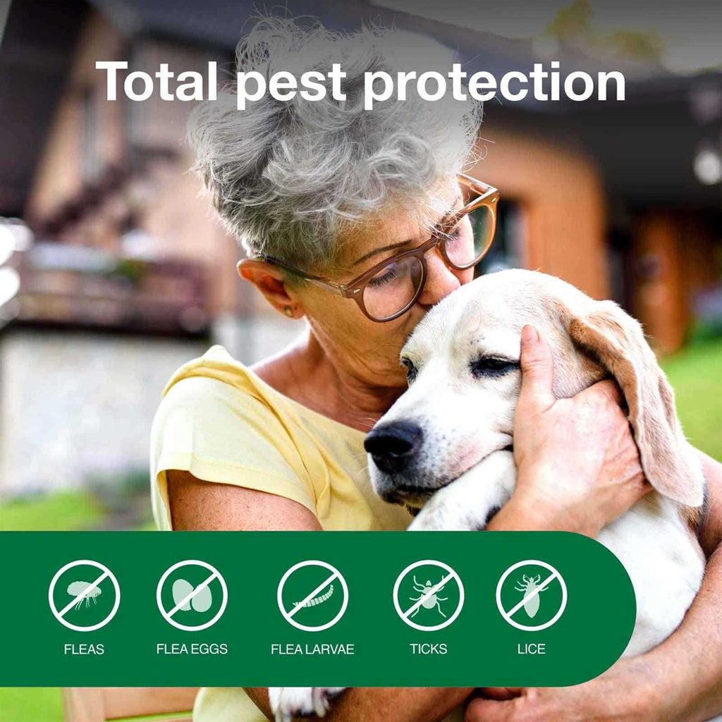 Flea & Tick Treatment Spray for Dogs W535950