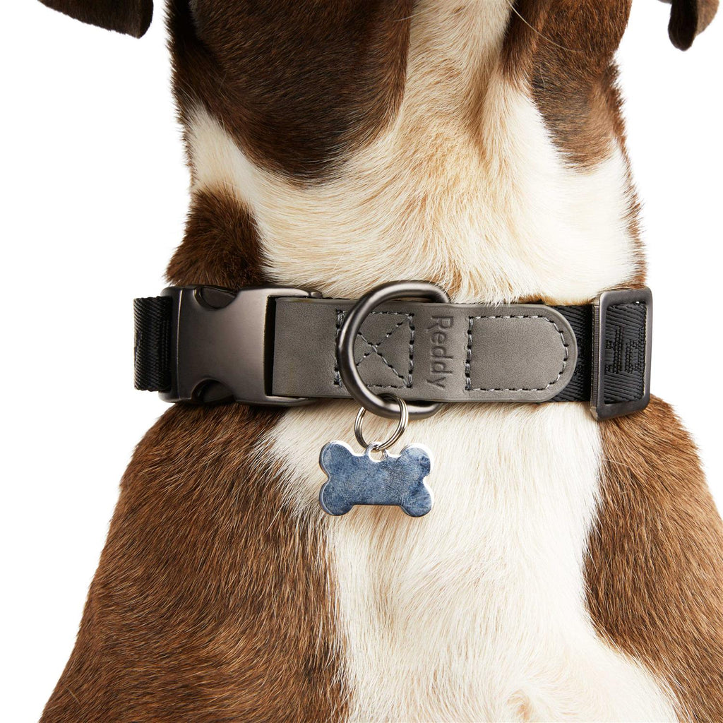 Dog Collar H775714