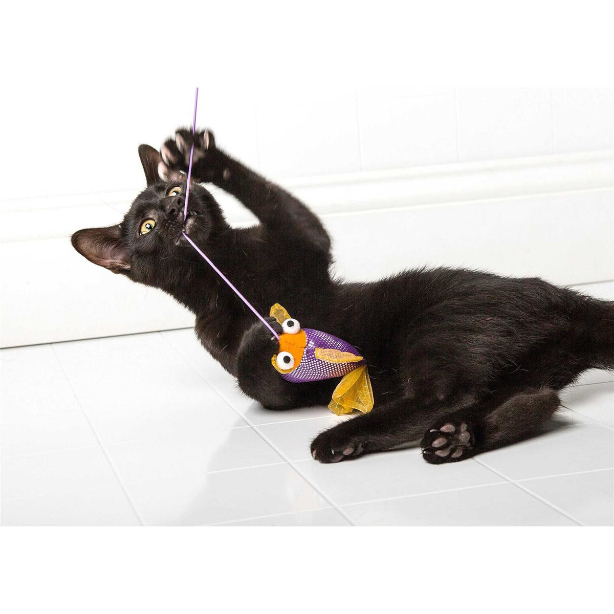 Cat Toy A748231
