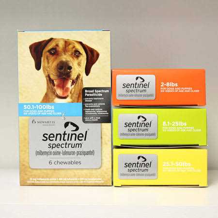 Spectrum for Dogs Z9946