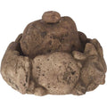 Reptile Fountain E608808