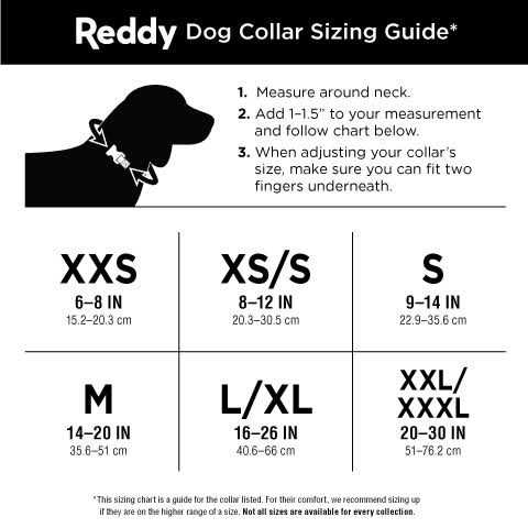Dog Collar H775714