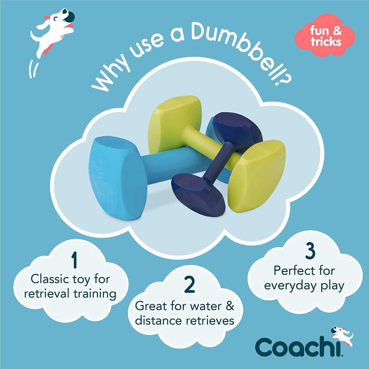 Dumbbell Training E39602