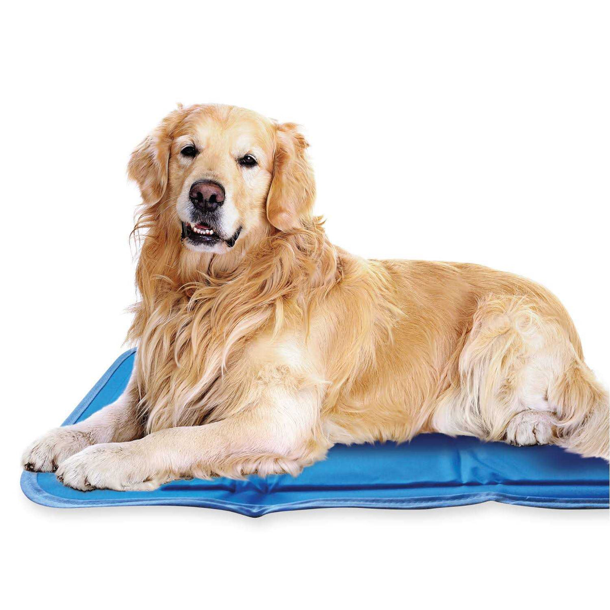 Cool Pet Pad F2930