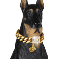 Dog Chain Collar Gold with CZ Buckle 19mm Cuban Link Metal H325