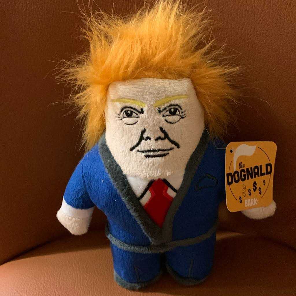Dog Toy with Squeaker D532121
