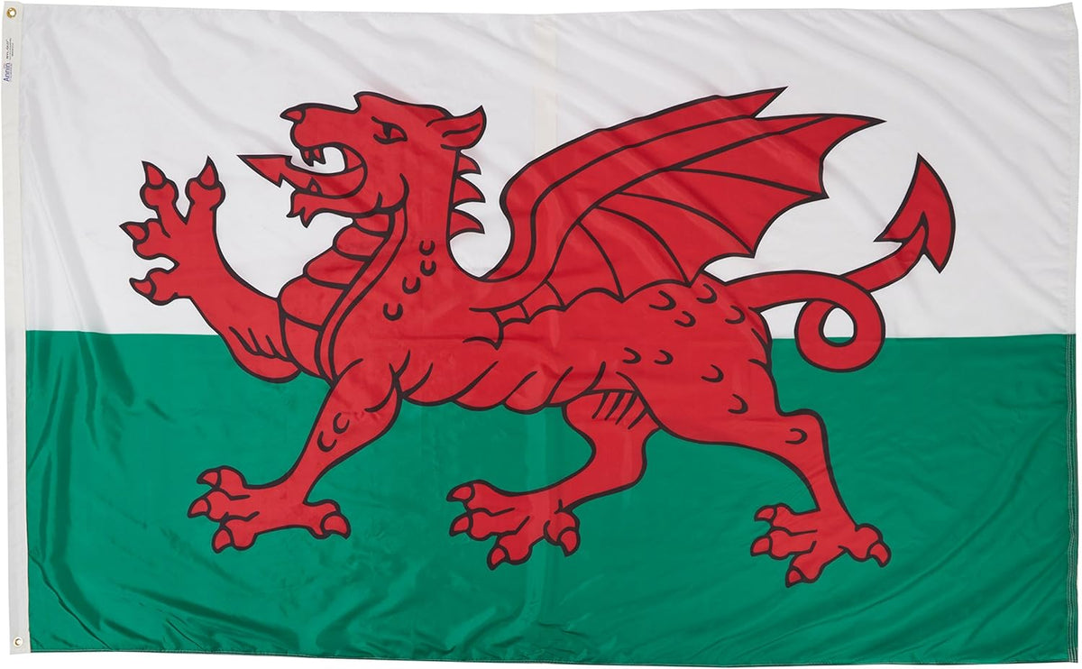 Wales Flag 4x6 ft J961949