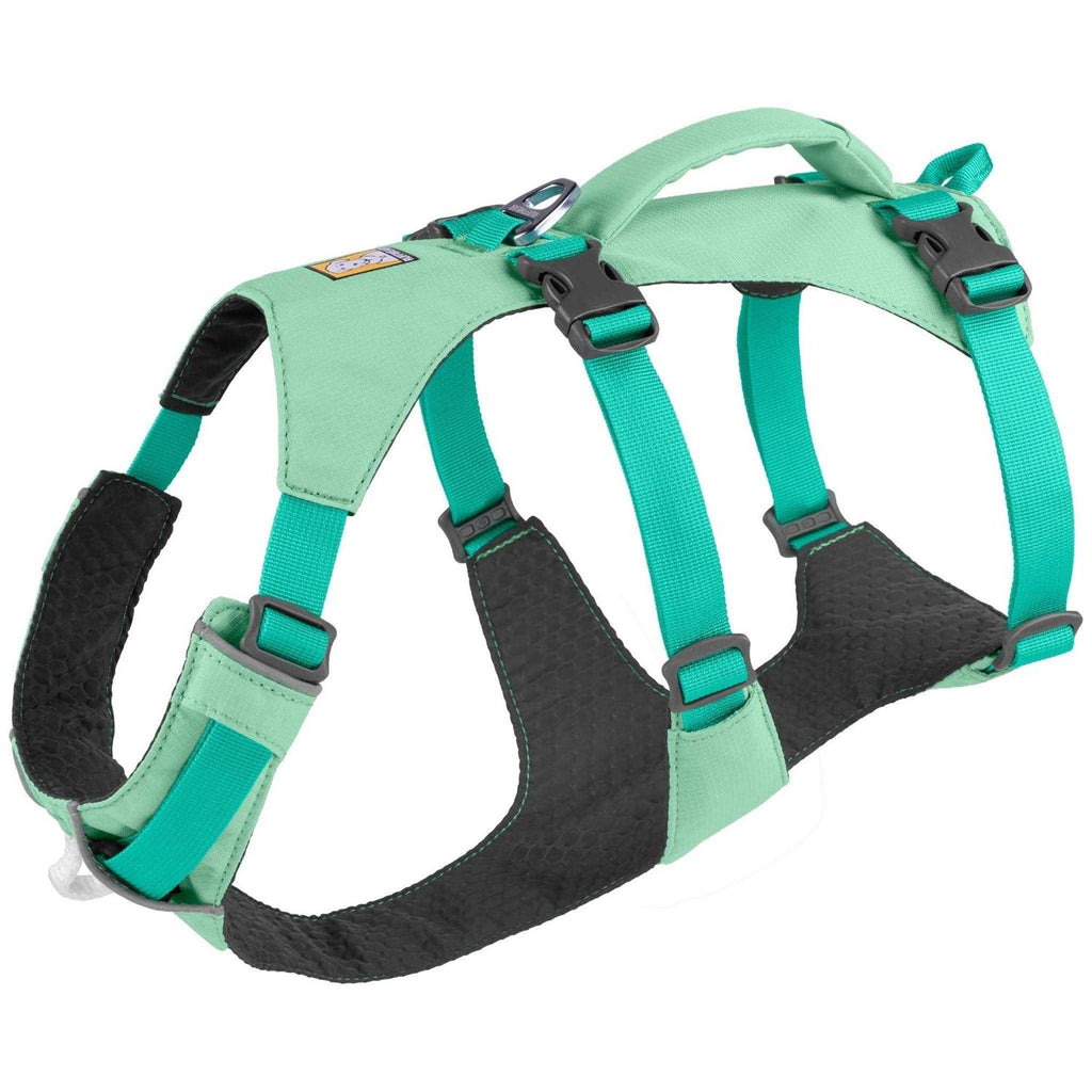 Harness B622475