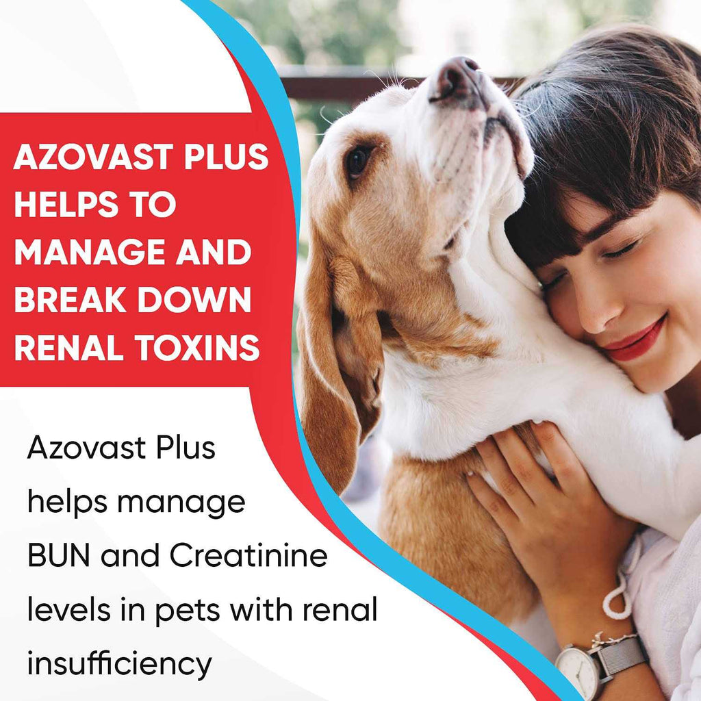 Kidney Health Supplement for Dogs & Cats Oral Paste Z991