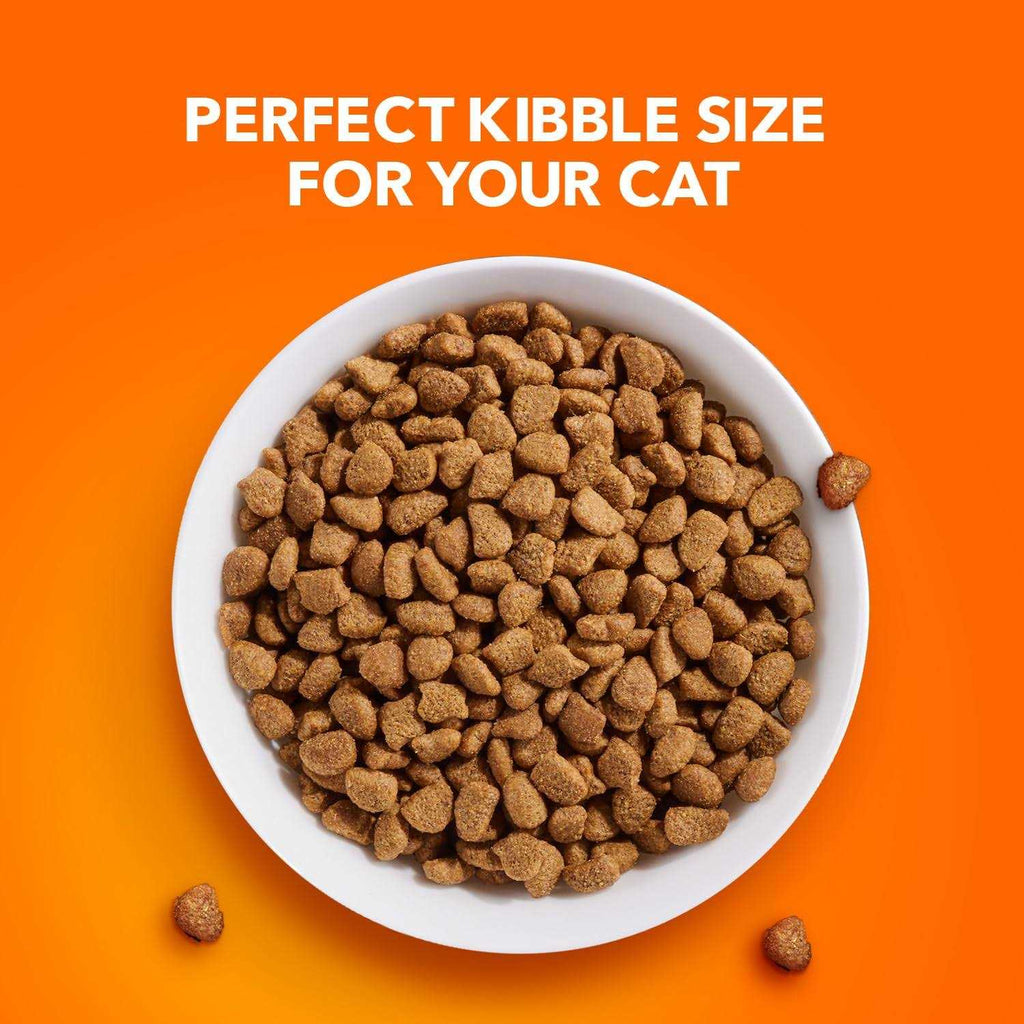 Sensitive Digestion & Skin Dry Cat Food E5428