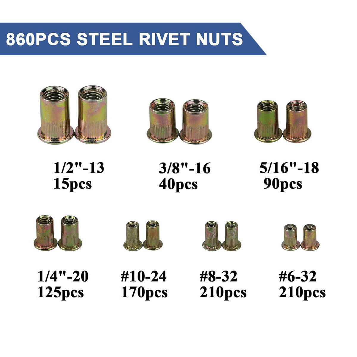 860pcs SAE UNC Zinc Plated Carbon Steel Rivet Nut Kit with Case A2835