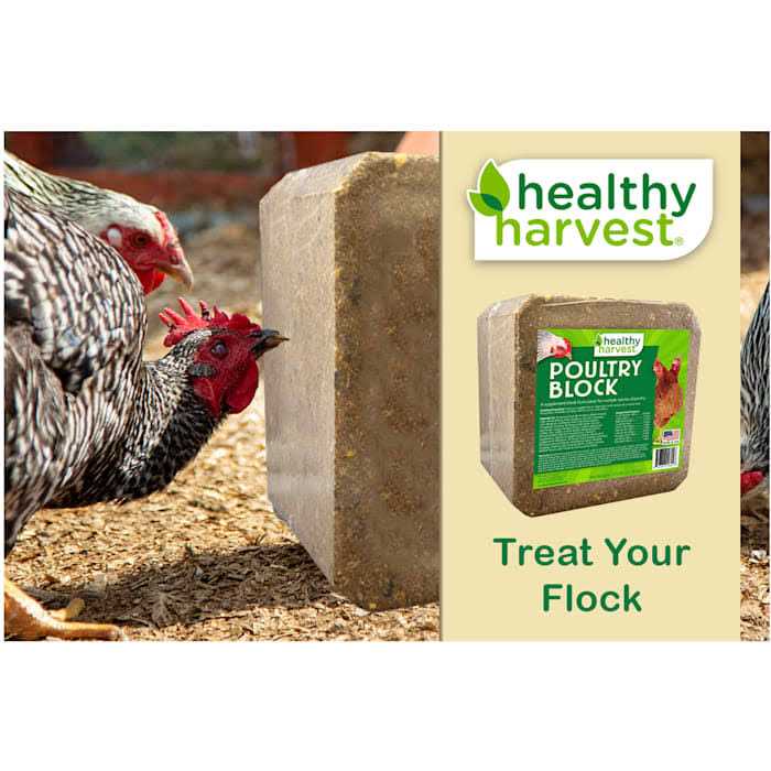 Poultry Block Supplement X9994