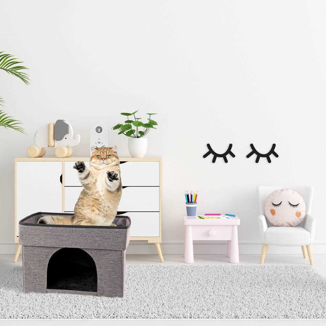 2-Tier Collapsible Cat Cave N195126